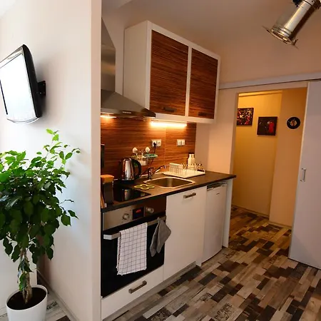 Jazzy Downtown Apartamento